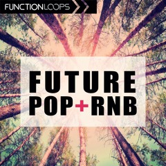 Function Loops - Future Pop & RnB