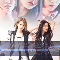 Harukaze Only Lice Once (Scandal x Band-Maid)