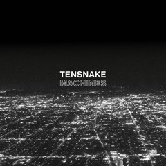 PREMIERE: Tensnake - All In All [True Romance]