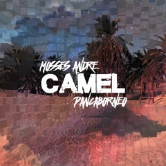 Mosses Andre & Panca Borneo - Camel