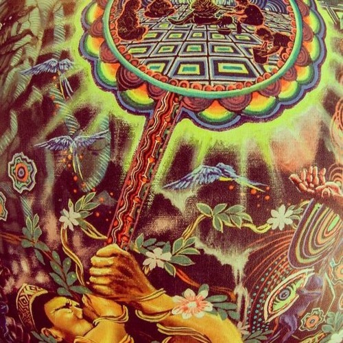 Psychedelic Search