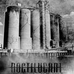 Noctilucant - You Can Hear The Cry Of The Planet