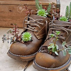 Dickweed aka baron greenback (fuck ikea & tesco mix)