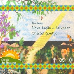 Nova Lição - Chester Gontijo (Nova Lição)