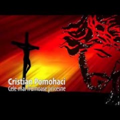 CRISTIAN POMOHACI-CUI SA-MI PLANG DUREREA
