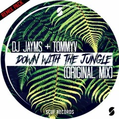 DJ Jayms & Tommy V - Down With The Jungle (Dj Damian Remix)