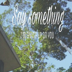 Say Something