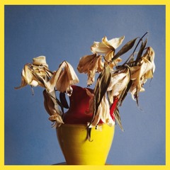 SPLEEN w/ Nathan Roche (L.V.U)