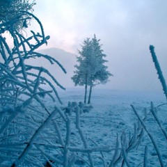 Havel - Cryophobia [FREE Download]