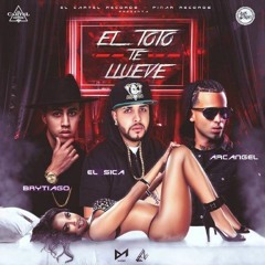 EL TOTO TE LLUEVE :D by.castro