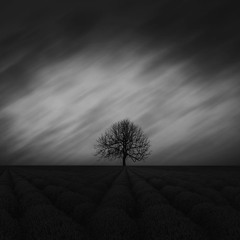 Isolated Set