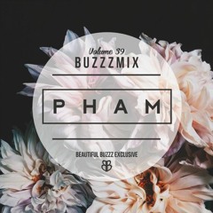 Buzzzmix Vol. 39 -- Pham