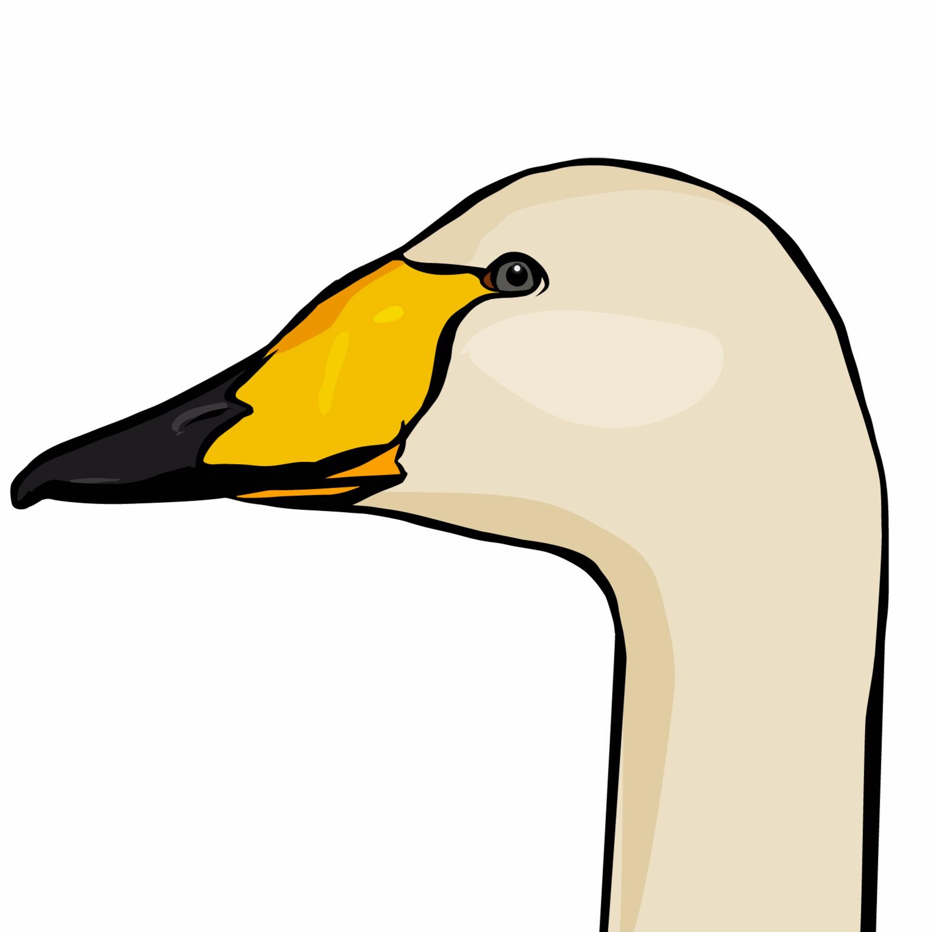 Pippipodden