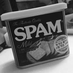 Spam (EDM)