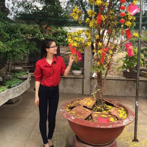 nhạc vàng