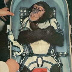 Space Chimp