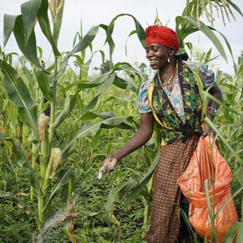 Gender specialist Rahma Adam: Aiding African women to adopt sustainable agricultural technologies