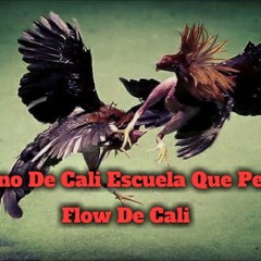 Cano De Cali Escuela Que Pesa (el varo)