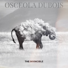 The INVINCIBLE