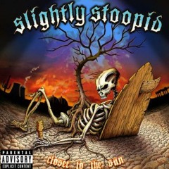 Fat Spliffs Slightly Stoopid Cover