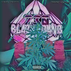 Never change 730BlackGang