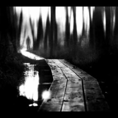 Dark Melancholic