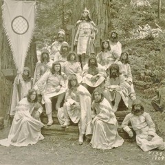 dreamt of the wilderness