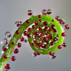 Teardrop (Massive Attack Cover) - Performed with Cacao Farmer