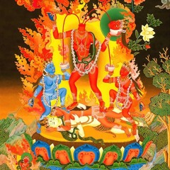 kali masta chinas