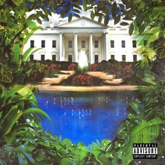 Naked In The White House