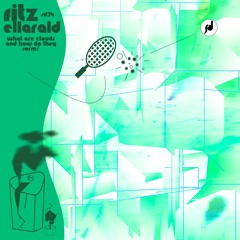 SD34 - Fitz Ellarald "01 My Psychic Changes The Shape Of A Cloud Turning It Into A Square" (SNIPPET)