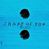 Download Shape Of You (The Megamix) ft. 5h, Taylor, Ariana Grande, Justin Bieber, And More Shape Of You (The Megamix) ft. 5h, Taylor, Ariana Grande, Justin Bieber, And More