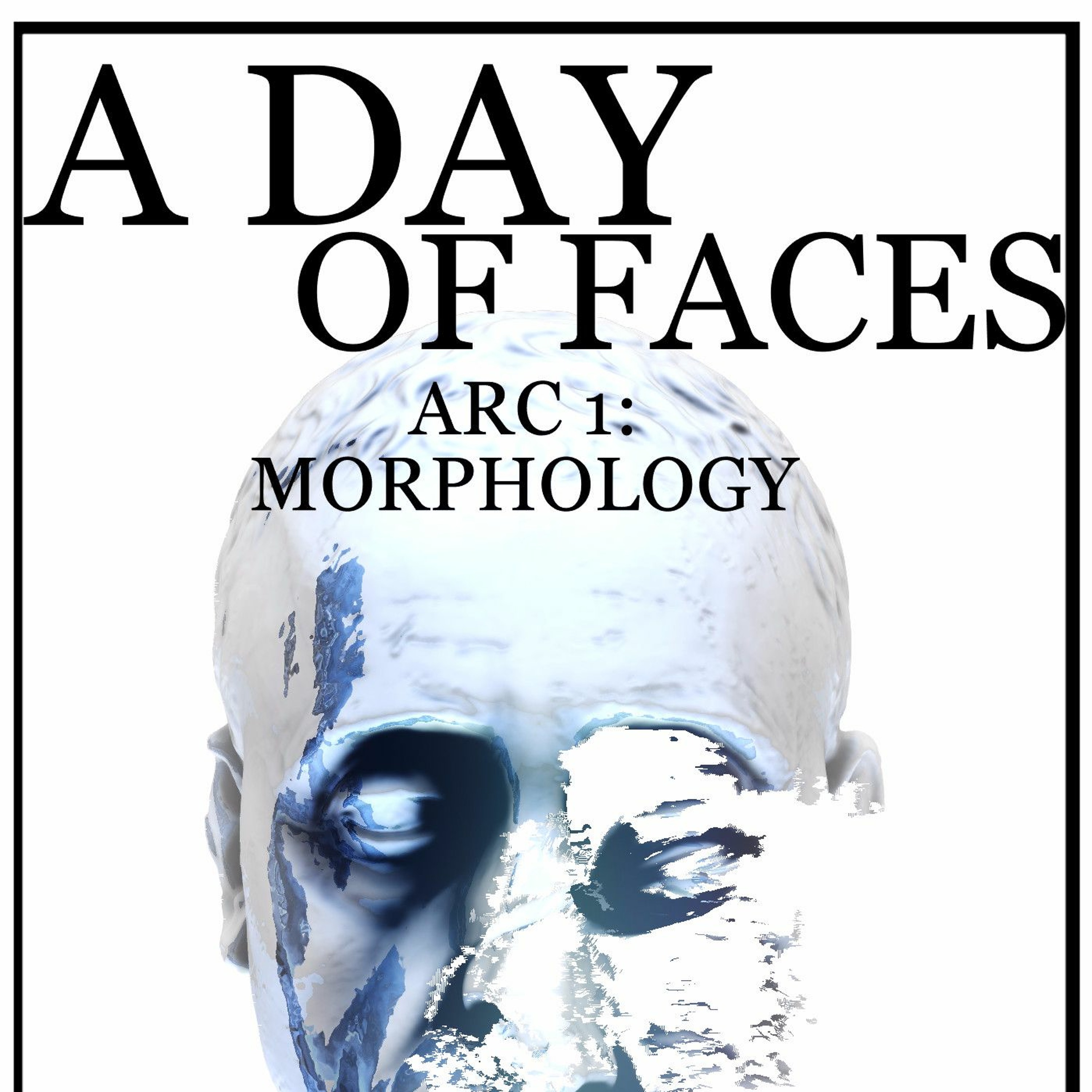 A Day of Faces audiobook