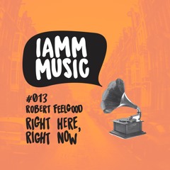 Robert Feelgood - Right Here & Right Now (IAMM MUSIC 013)