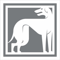 Andeh Lang - Second Susskind