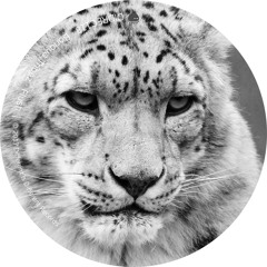 Boriqua Tribez - Flush (Ken Ishii Remix)