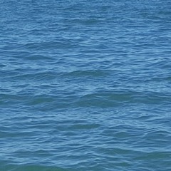 Jeffervescence Episode 2