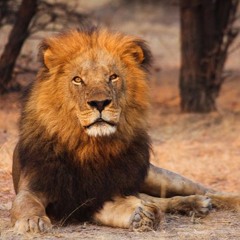 Keep Your Circle Small