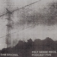 Felt Sense Recs. Podcast Five - Sam Brickel