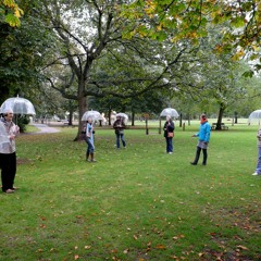 Autumn Sound Walk into Wellbeing Salamanda Tandem 13 Oct 2016