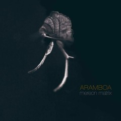 Aramboa - Only Coincidence Talks (feat. Elena Shirin)