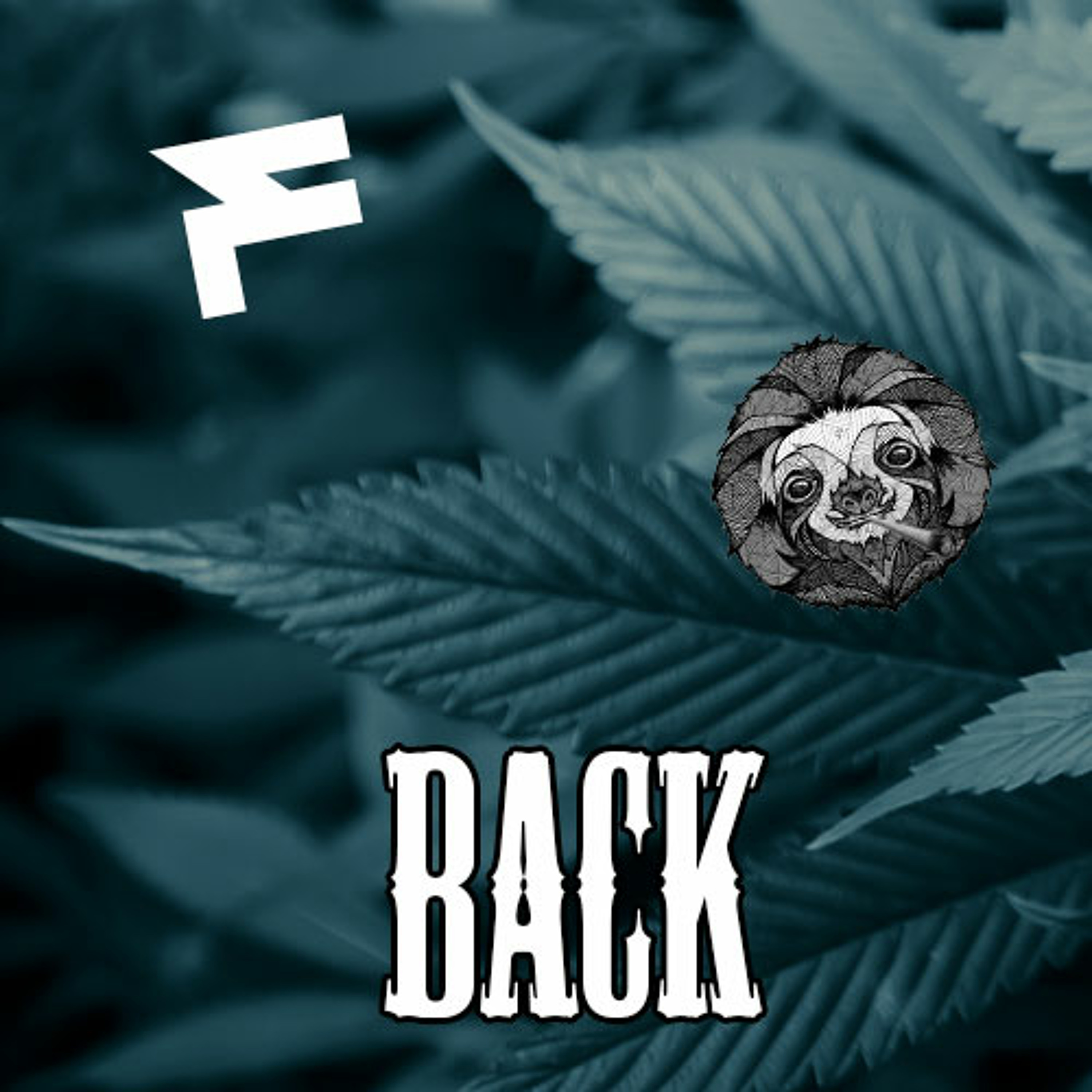 Fifth & Monsieur Bradipò - Back episode artwork