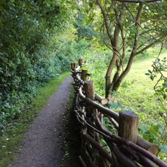 Zozan Cicek & Charles Sterntorp - Show Me The Road