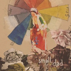 small dad - bumbleboy