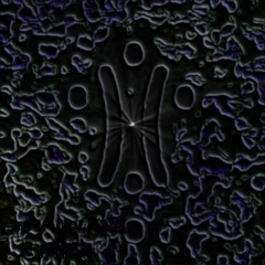 04 - Opening The Door