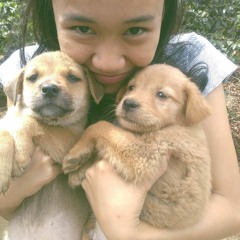 They Dont Know About Us- One Direction (Short Cover)