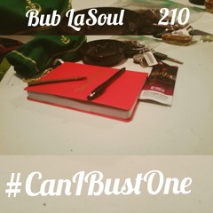 Can I Bust One ft. 210 (UberWood)