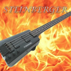STEINBERGER - Paploviante