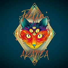 Feelin' (Original Mix) *UNTZ Challenge VIII FINALIST*