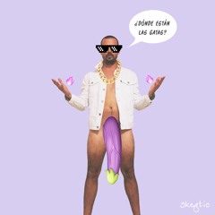 Dónde Están Las Gatas?